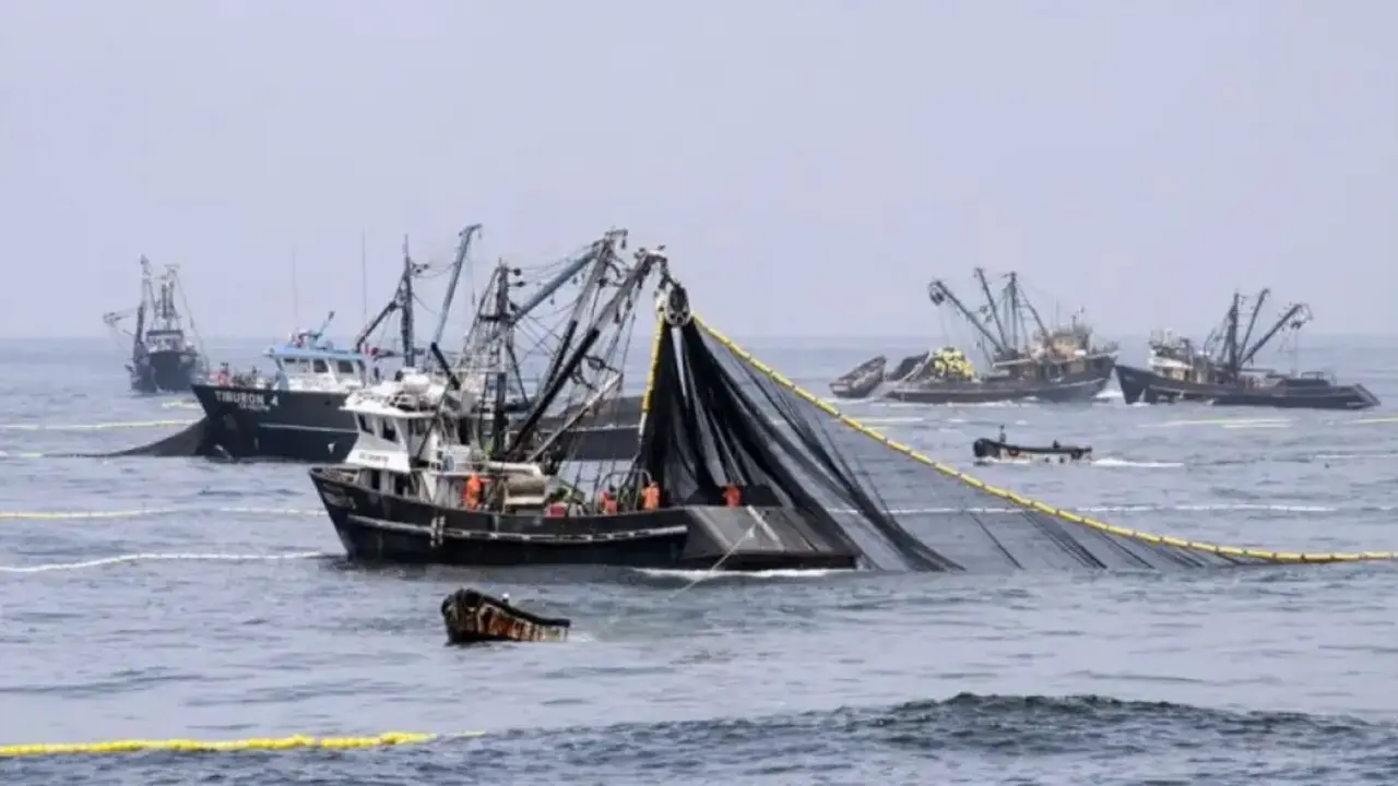 Argentina strengthens marine protection with international agreement to curb illegal fishing in ports