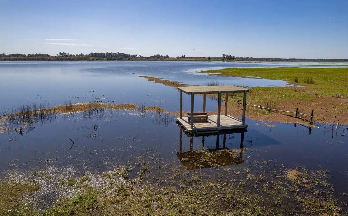 Propose to convert Laguna del Cisne into a protected area due to the water crisis in Uruguay