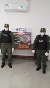 Five monkeys rescued in Salta, victims of illegal wildlife trafficking, during an operation: they were being carried in a box. Photo: Argentina.gob.