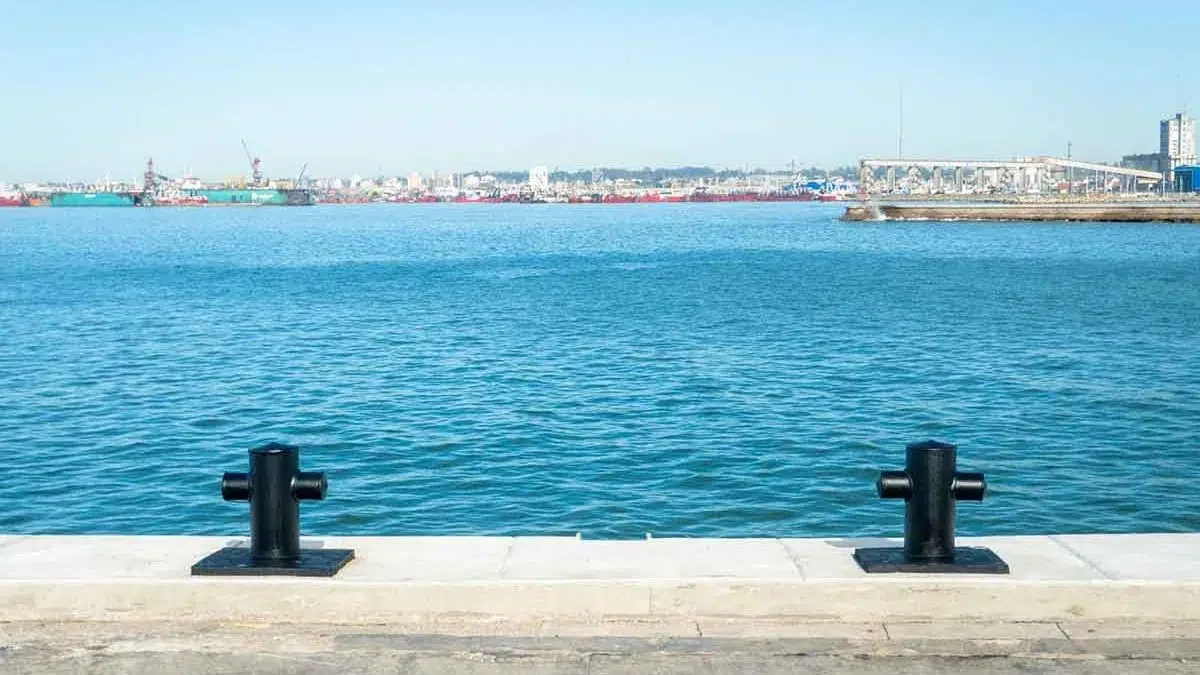 Mar del Plata will install an innovative device that transforms wave motion into energy