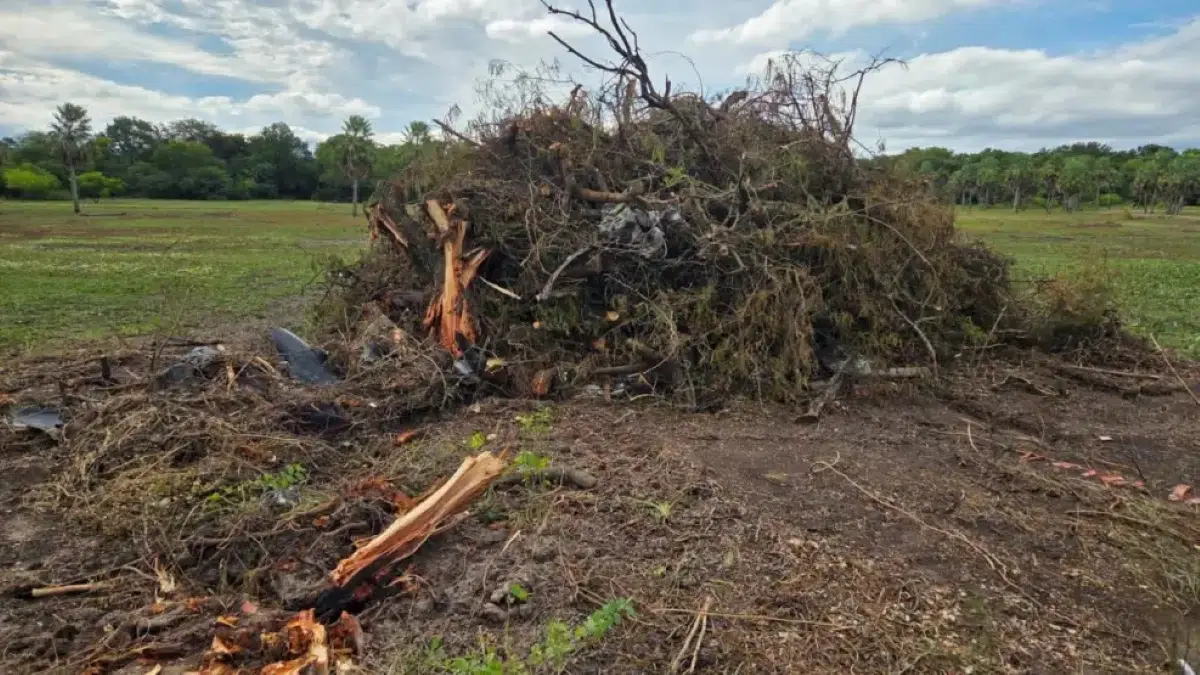 Environmental controversy in Resistencia over municipal interventions with machinery in Caraguatá Park