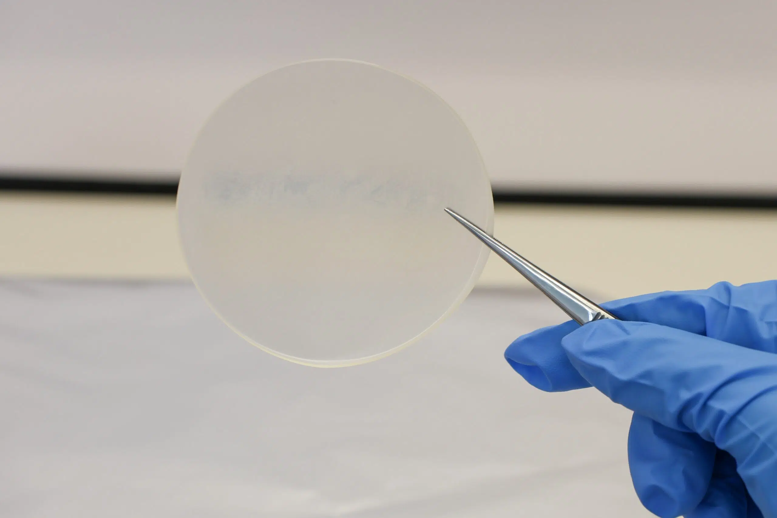 Australian researchers create biodegradable plastic with milk proteins that decomposes in 13 weeks