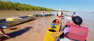 Remada ambiental pelo Paraná: organizações ambientais percorrem 800 km para defender o rio e seus pântanos. Foto: Agência de Notícias FARCO.