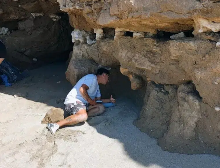 Un hallazgo paleontológico en Santa Clara revela restos de megafauna que habitó la región hace 400.000 años. Foto: MDZ.