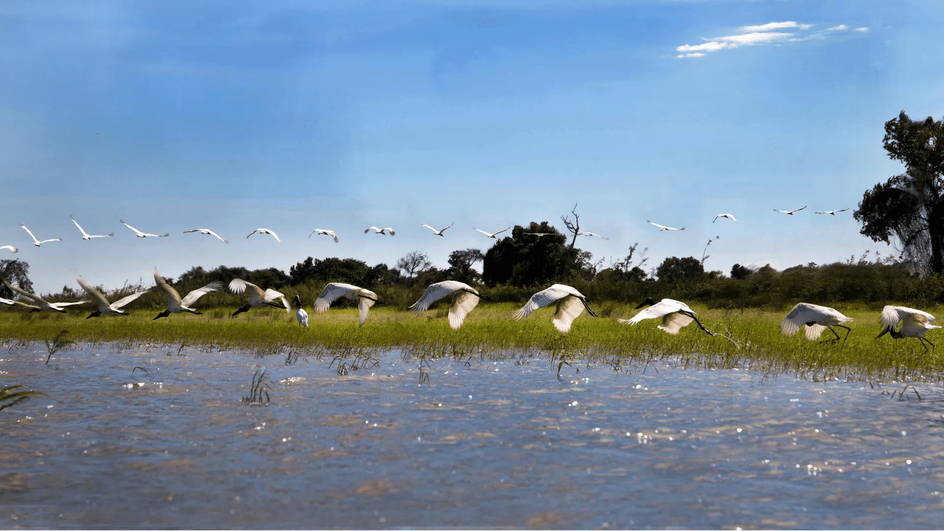 Laguna Oca: naturaleza, humedales y turismo en Formosa