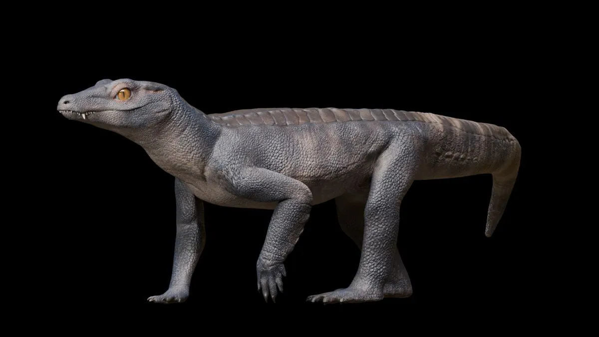 terrestrial crocodile