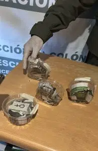 Tráfico de fauna em Entre Ríos: resgatam seis filhotes de serpentes Boa constrictor durante um controle viário. Foto: Argentina.gob.
