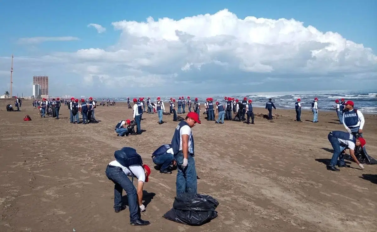 Spill in the Gulf of Mexico: nearly 900 tons of hydrocarbons collected after oil incident on these shores