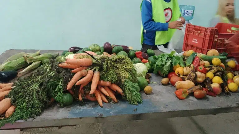 Rescate de alimentos en Argentina: una estrategia ambiental y social frente a la problemática global del desperdicio
