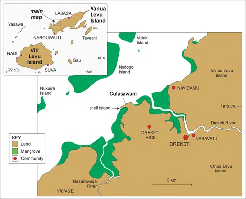 A discovery in the Pacific redefines the relationship between culture and nature: what the island formed by mollusk remains is like