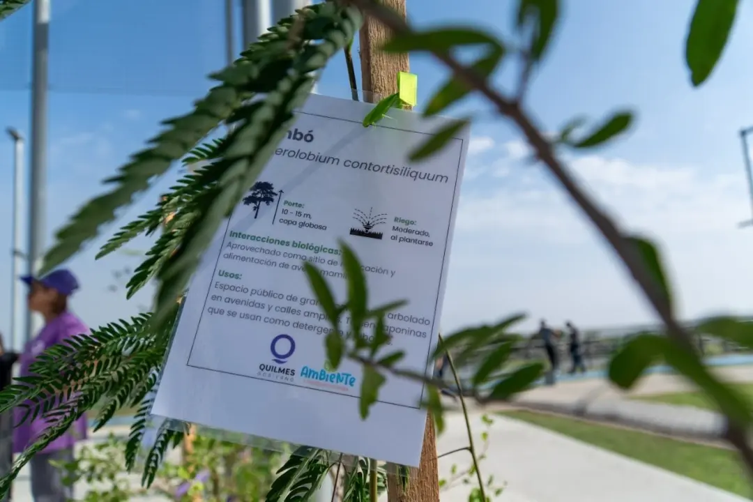 “Quilmes Respira 2026” comment est le programme pour élargir le boisement urbain et renforcer la conscience environnementale. Photo : Instagram/ @quilmesmunicipio.
