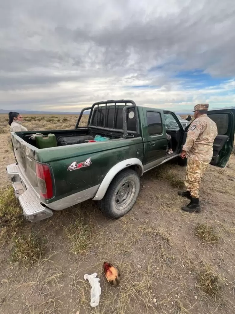 Caza furtiva en San Rafael: alertan por el impacto ambiental sobre el piche y el uso ilegal de perros en Mendoza. Foto: Prensa de Gobierno de Mendoza. 