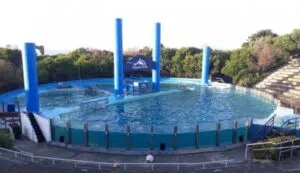 Falência do Aquarium de Mar del Plata: denunciam a tentativa de venda dos animais que ainda estão em cativeiro. Foto: Necochea Digital.
