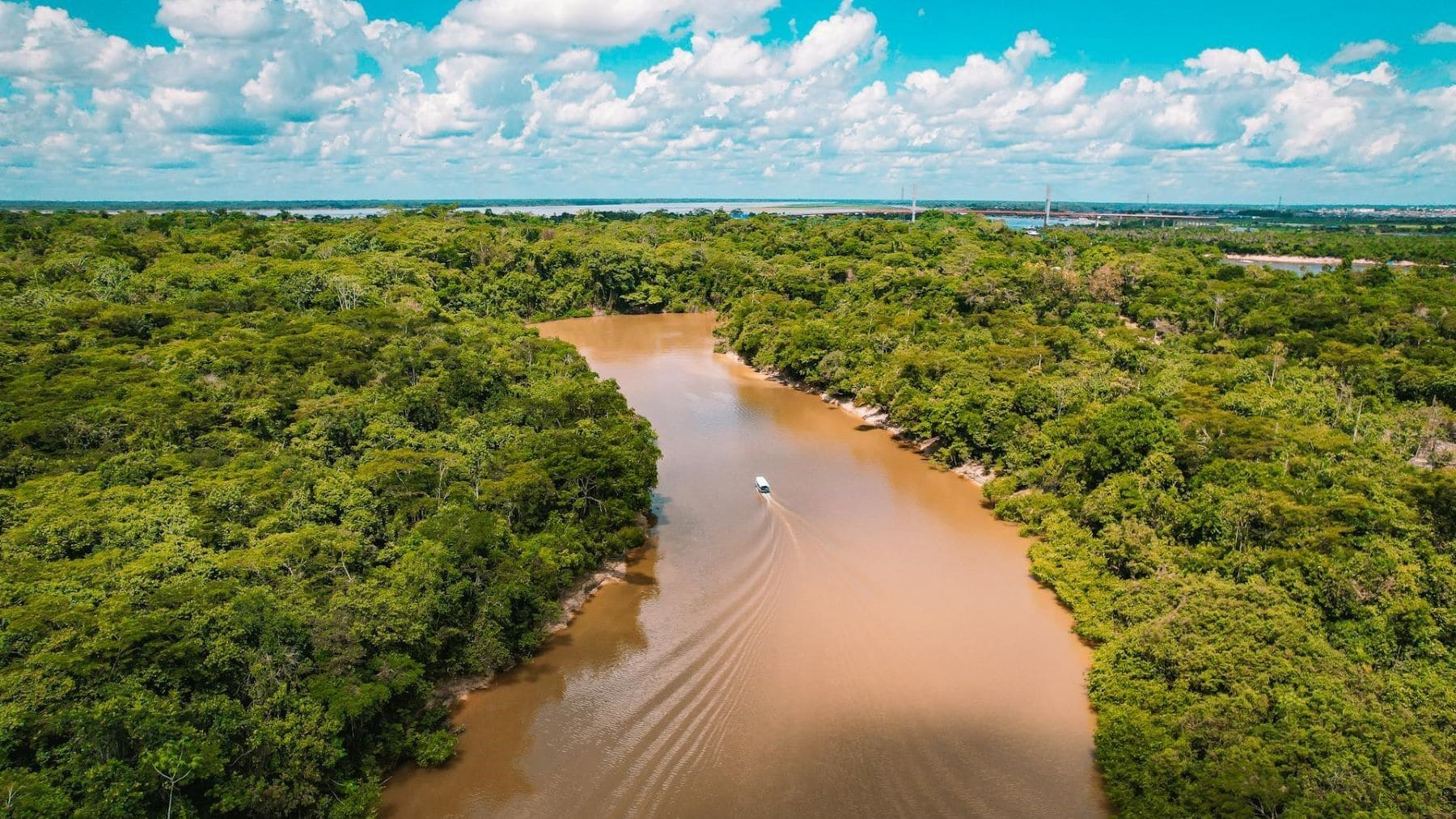 The Peruvian Amazon curbs deforestation through indigenous alert systems