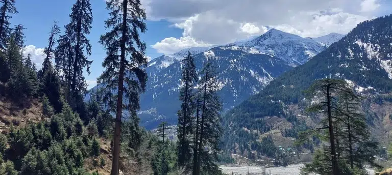 El Himalaya se vuelve verde: científicos alertan sobre el impacto del ascenso de la vegetación en el ciclo hídrico