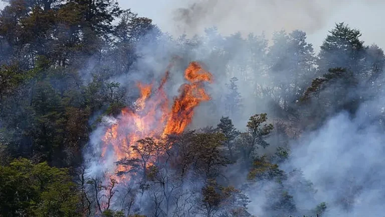 Científicos advierten más incendios y extremos climáticos por El Niño y el cambio climático para este 2026
