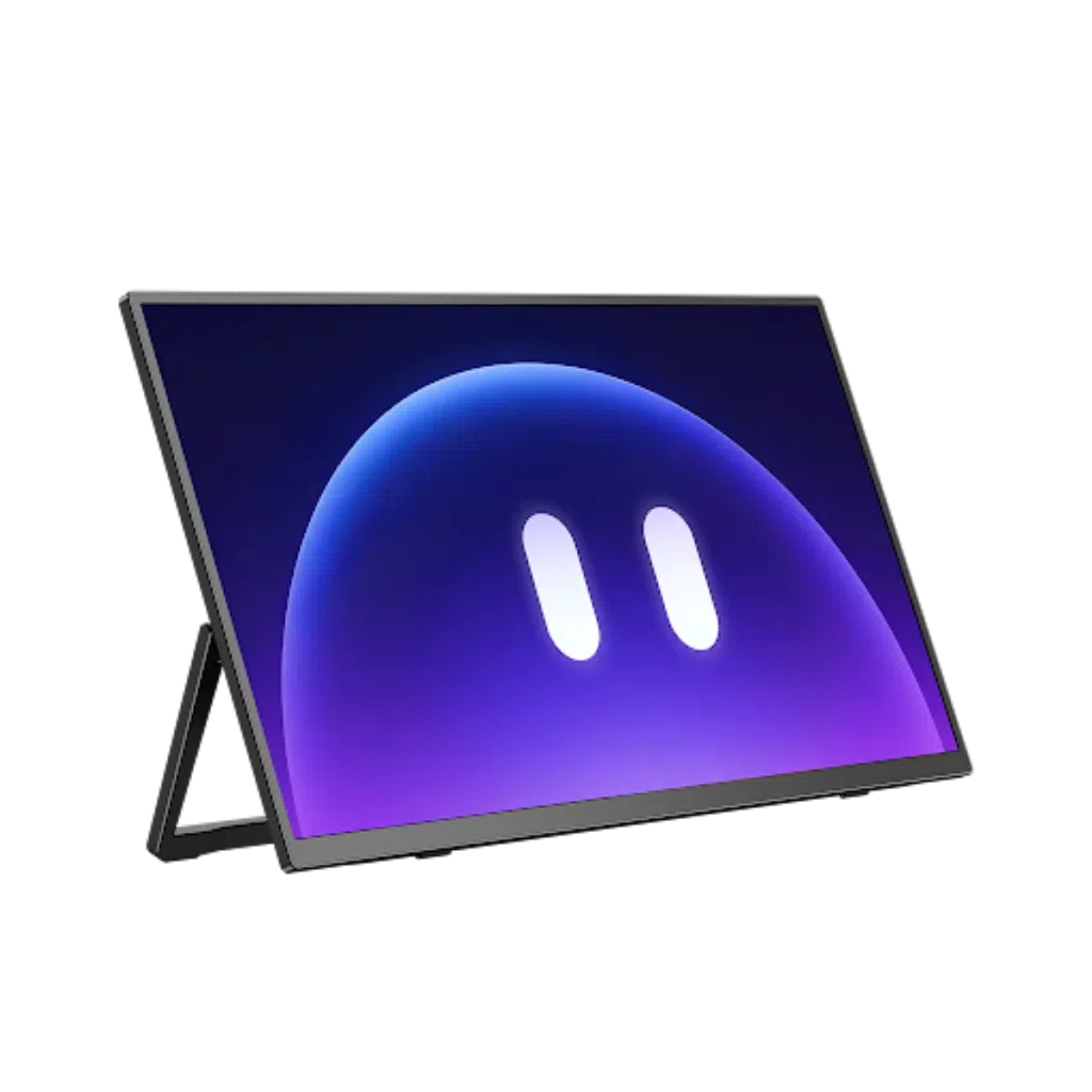 Portable monitor