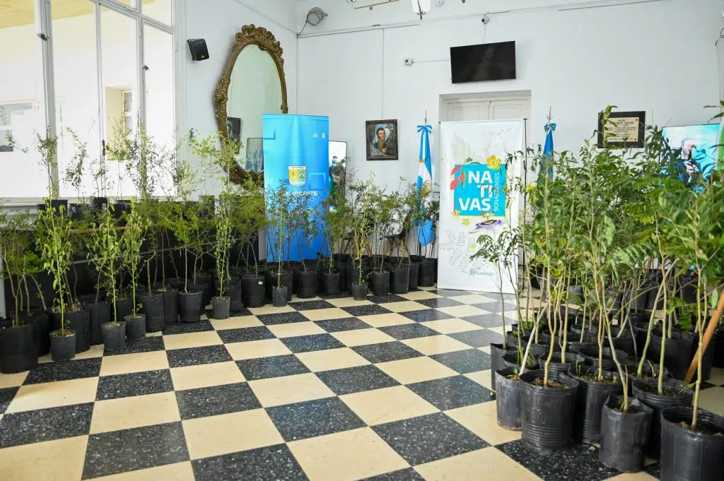 Plantas nativas