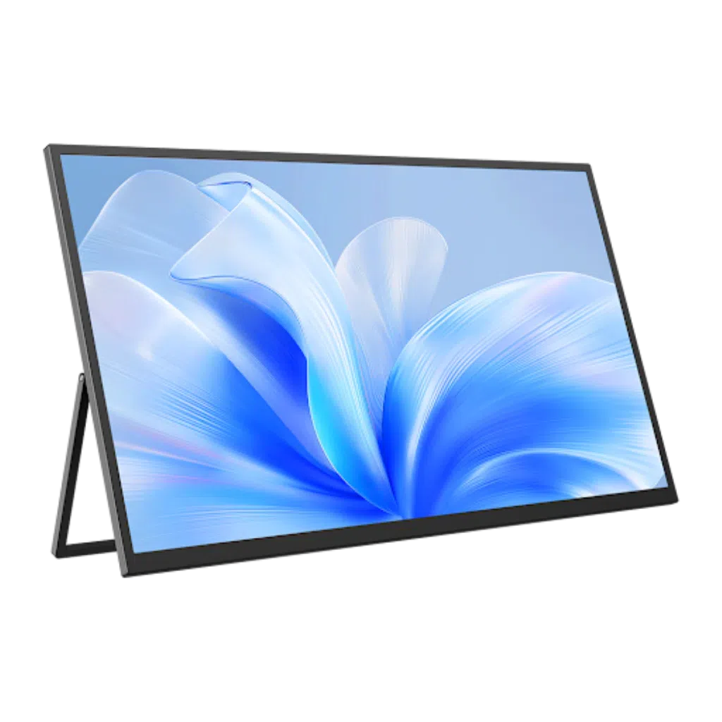 Portable monitor