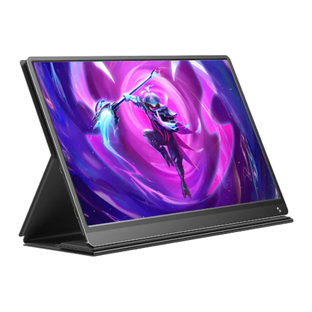 Portable monitor