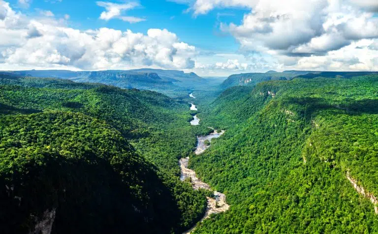 Deforestación tropical: a pesar de la reducción global en 2025, Brasil y Bolivia lideran las pérdidas de bosques