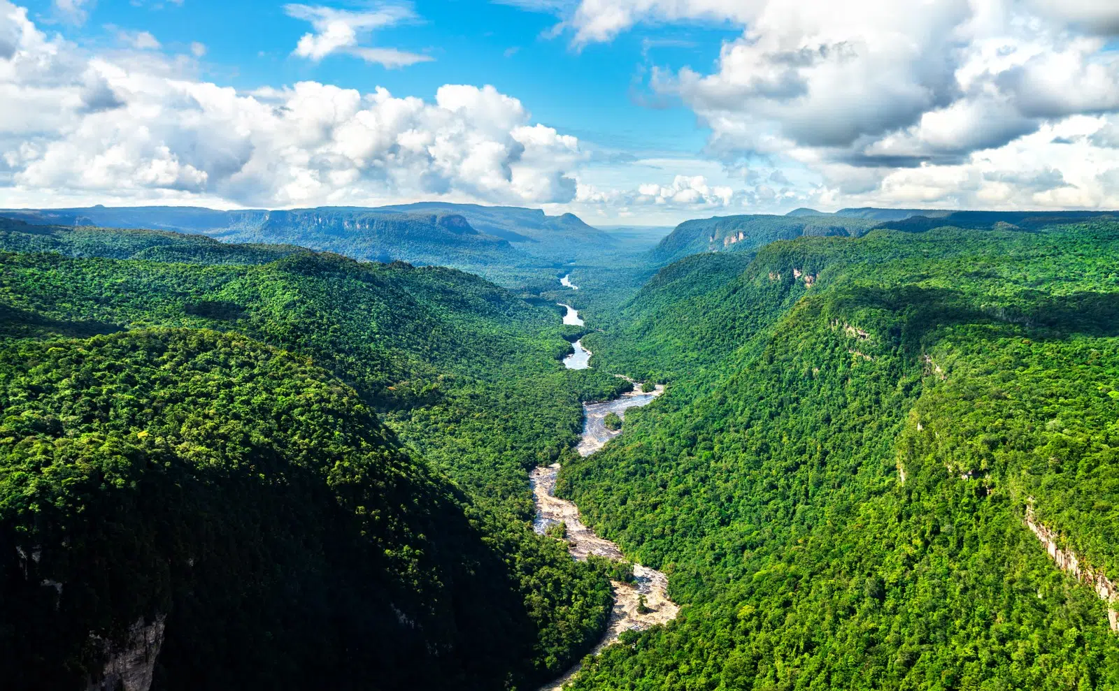 Tropical deforestation: despite global reduction in 2025, Brazil and Bolivia lead forest losses