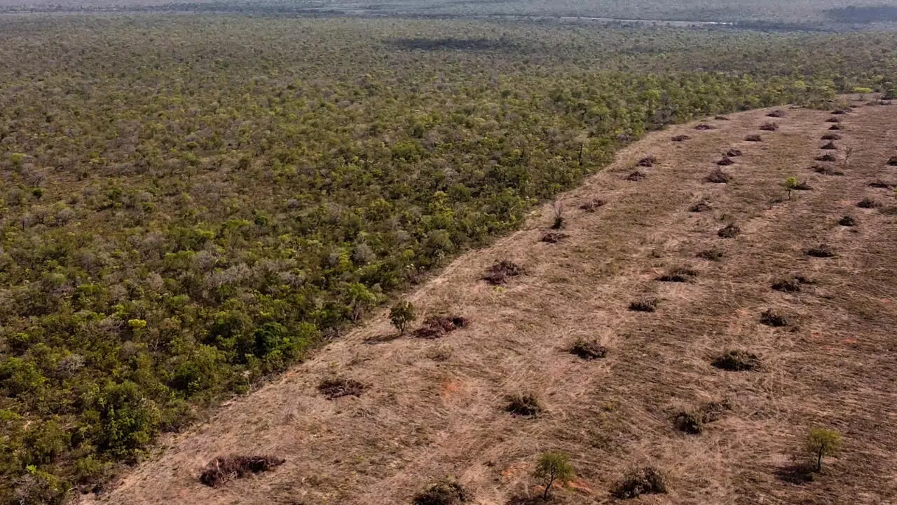 Brazil: Legislative projects threaten the fight against deforestation and the protection of the Amazon