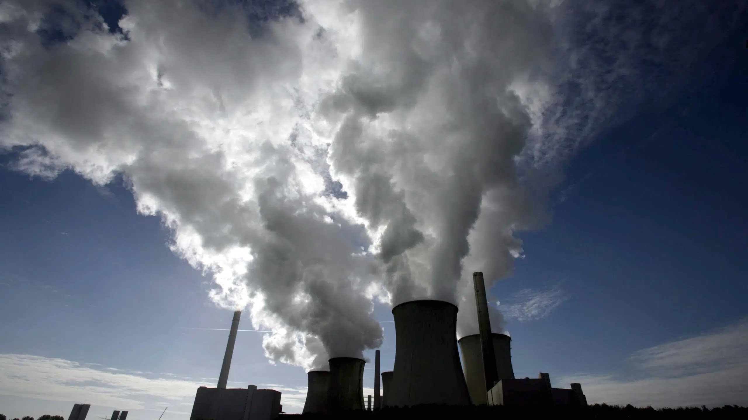 The European Union toughens penalties for environmental crimes: up to 10 years in prison and multimillion-dollar fines