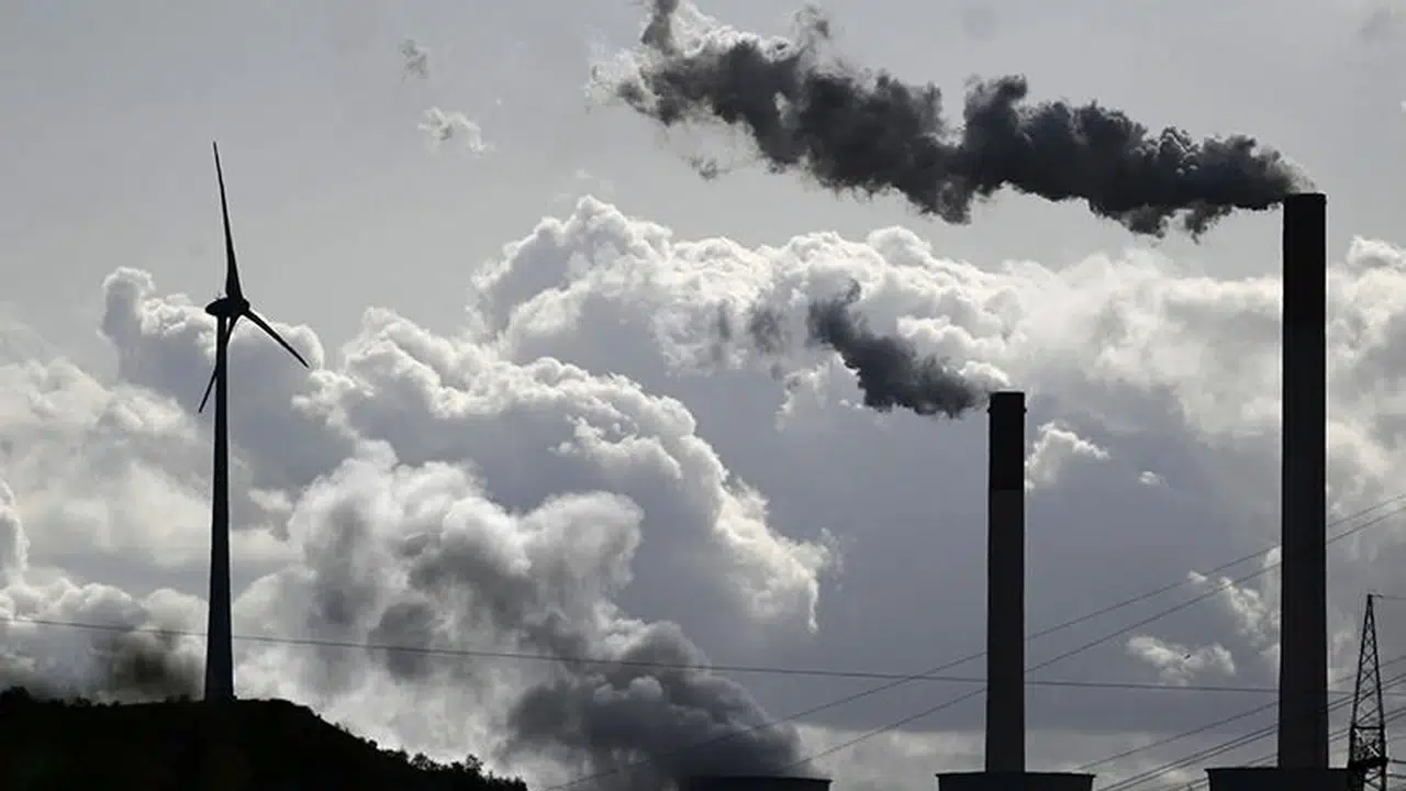 environmental crimes