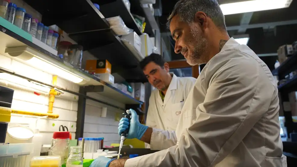 Científicos de la UBA desarrollan sensores precisos y accesibles para detectar arsénico en agua subterránea. Foto: Perfil.