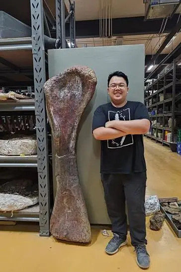 Nagatitan: Wissenschaftler entdecken in Thailand den größten jemals in Südostasien gefundenen Dinosaurier. Foto: BBC.