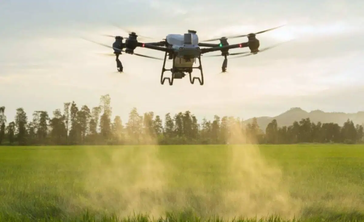 Chubut bets on agricultural drones and ecological restoration to recover forests devastated by fires