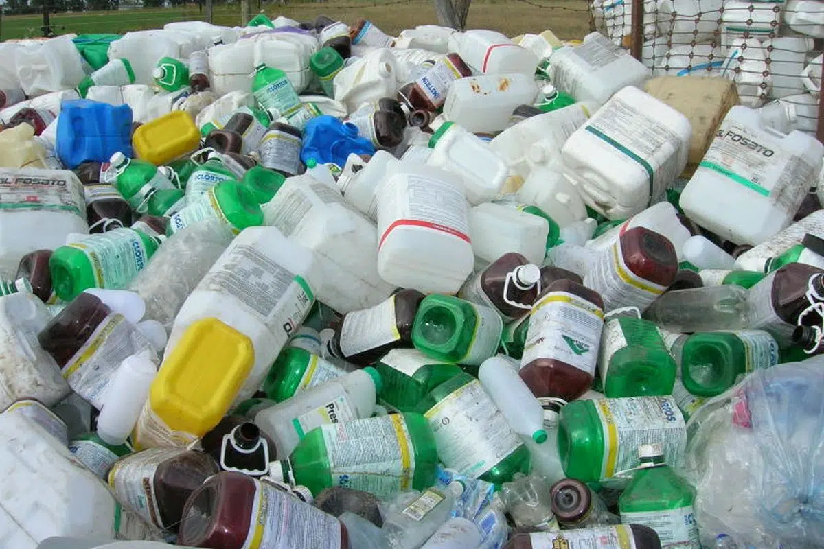gestión de envases