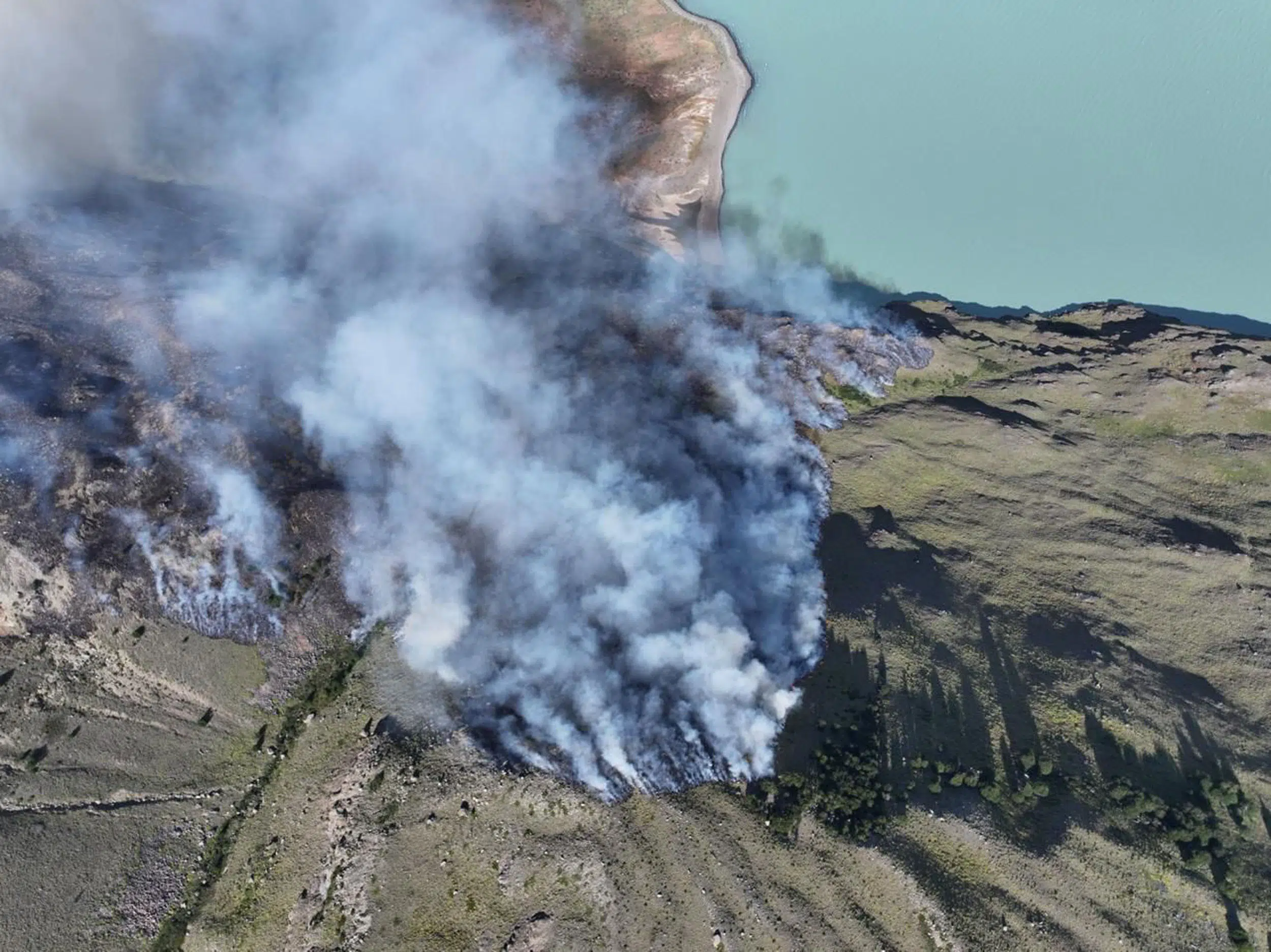 Forest fires in Patagonia increase tenfold: Greenpeace warns of the worst season in six decades