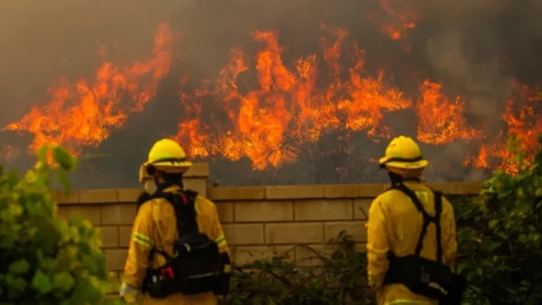 Temporada de incendios forestales en Estados Unidos: récord histórico y riesgos crecientes en 2026