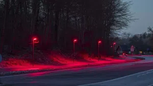 Une banlieue du Danemark remplace les lampadaires traditionnels par des lumières rouges pour réduire l'impact sur la faune nocturne. Photo: El Debate.