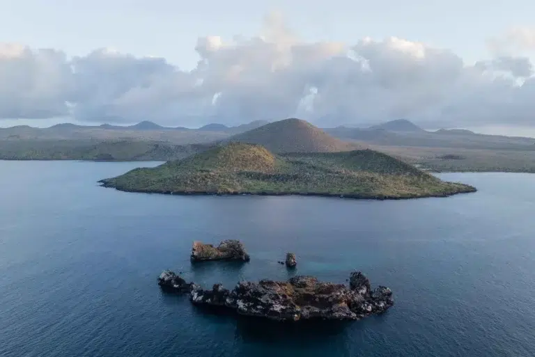 La tecnología en tiempo real y el monitoreo de fauna silvestre transforman la conservación en las Islas Galápagos