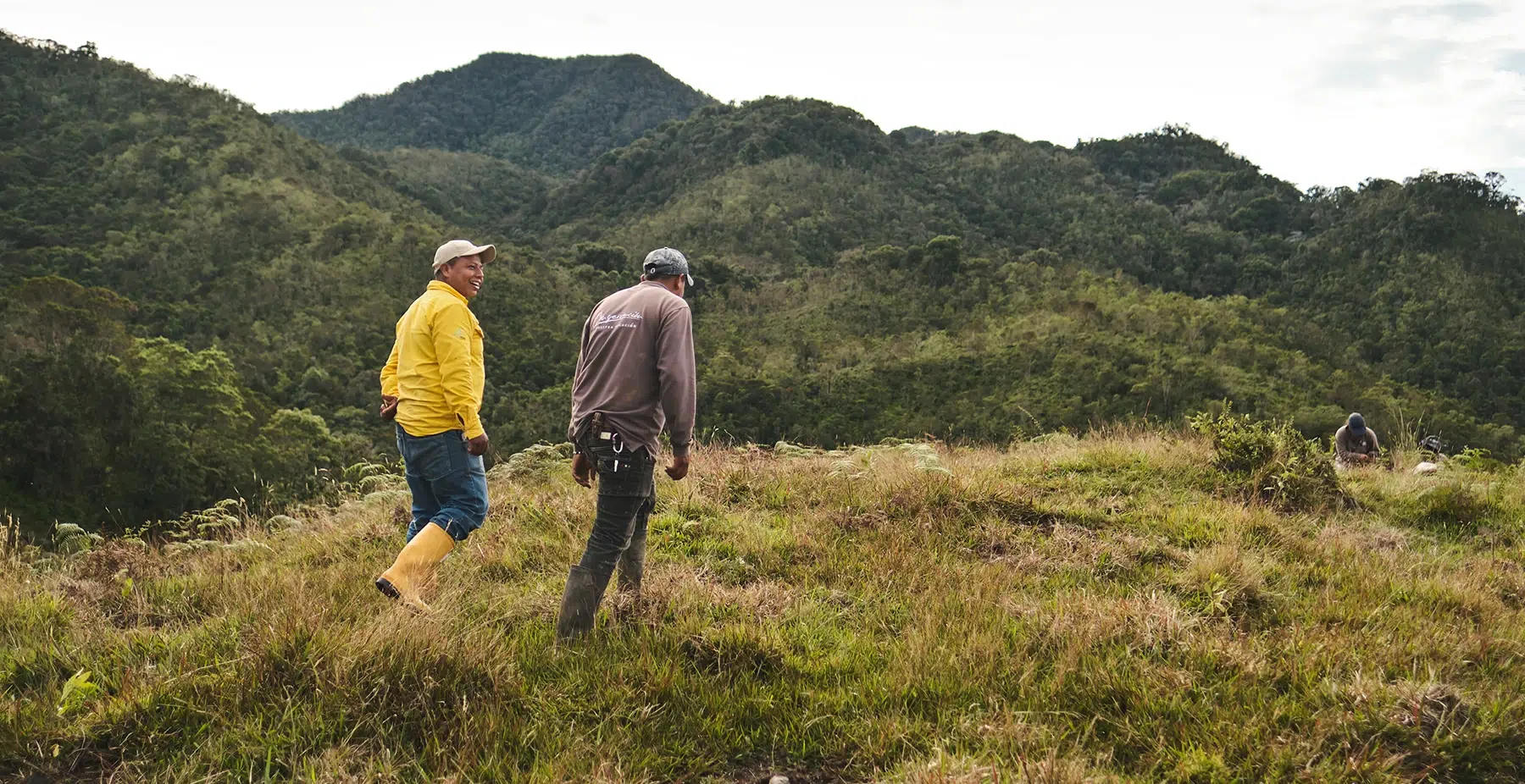 Sembrando Futuro 2.0: cómo es el modelo ecológico que apuesta por la reforestación y el empleo rural en Colombia. Foto: Terraformation.