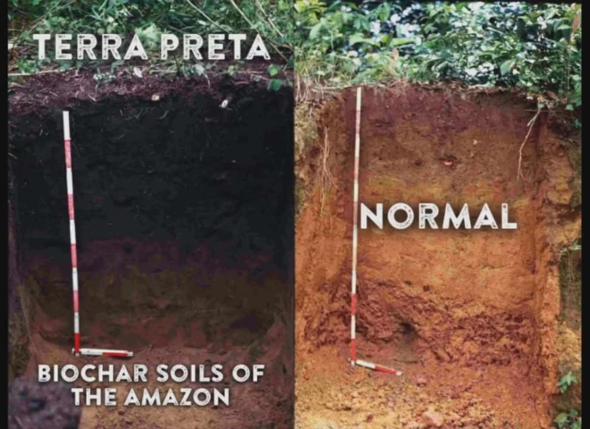 terra preta