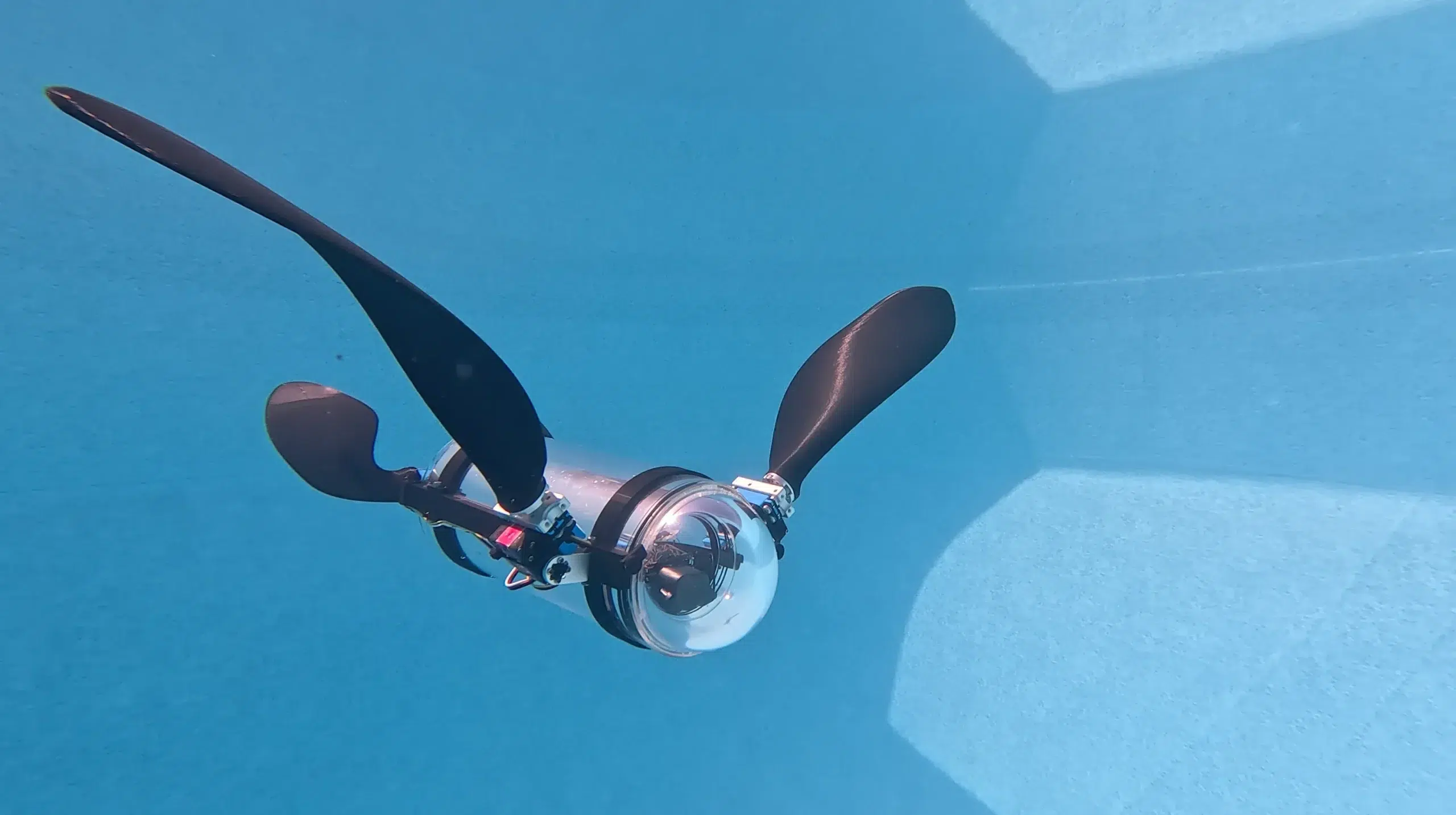 Robotic turtle
