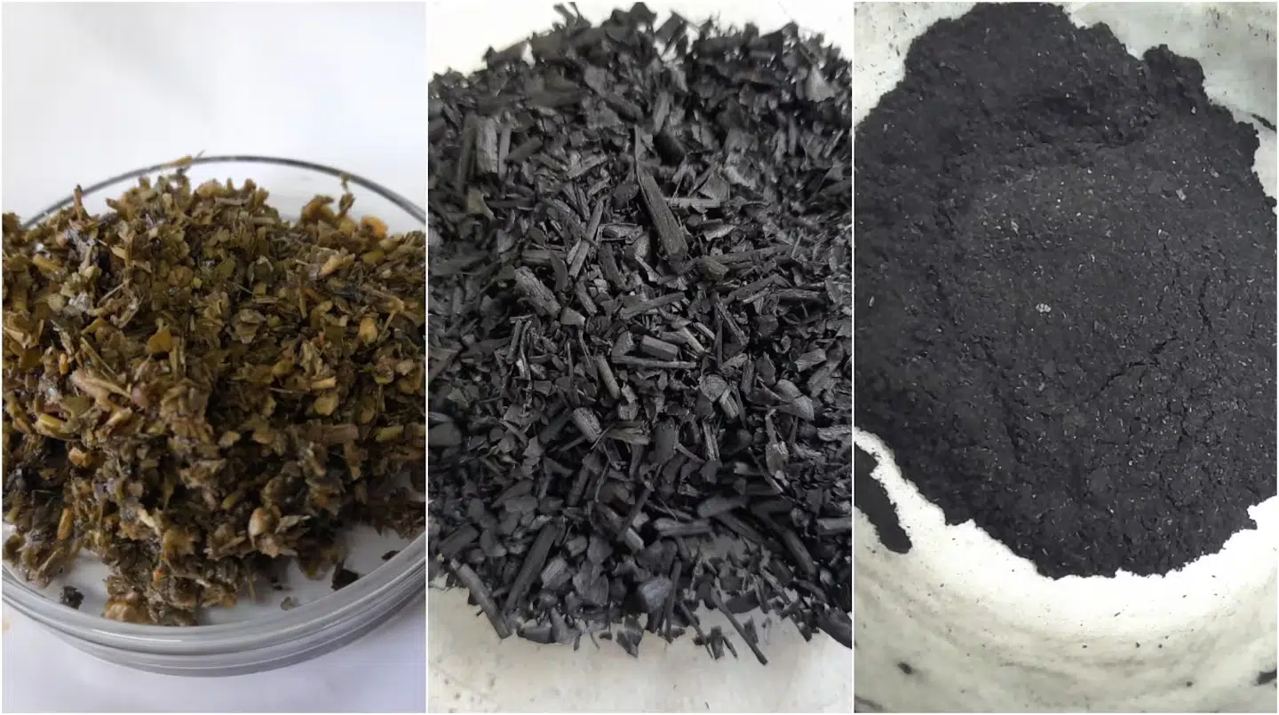 A CONICET scientist transforms used yerba mate into clean energy for batteries and electric cars. Photo: Diario Rio Negro.