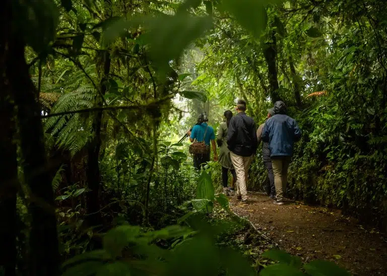 Costa Rica: siete experiencias para reconectar con lo esencial y vivir la auténtica filosofía «Pura Vida»
