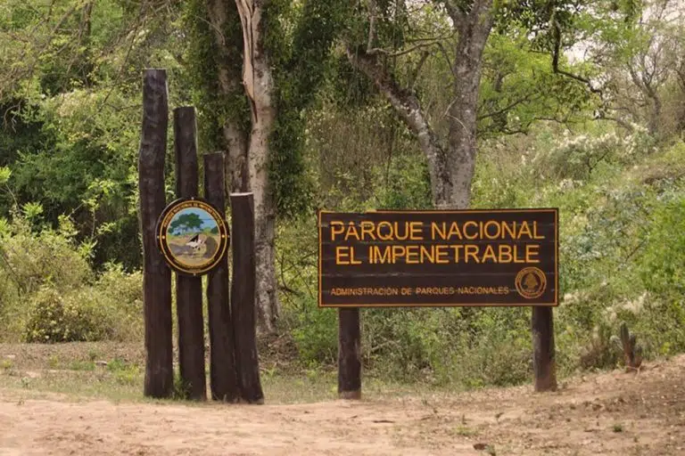 Una mirada sobre El Impenetrable: salud integrada y conservación de un pulmón verde de Sudamérica