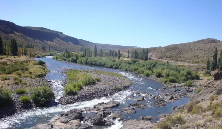 Río Negro: proyecto para anular la venta de 14 mil hectáreas patagónicas vinculadas a Emiratos Árabes Unidos