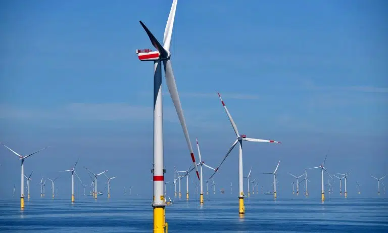 Parques eólicos marinos: científicos advierten que estás estructuras alteran corrientes oceánicas y ecosistemas