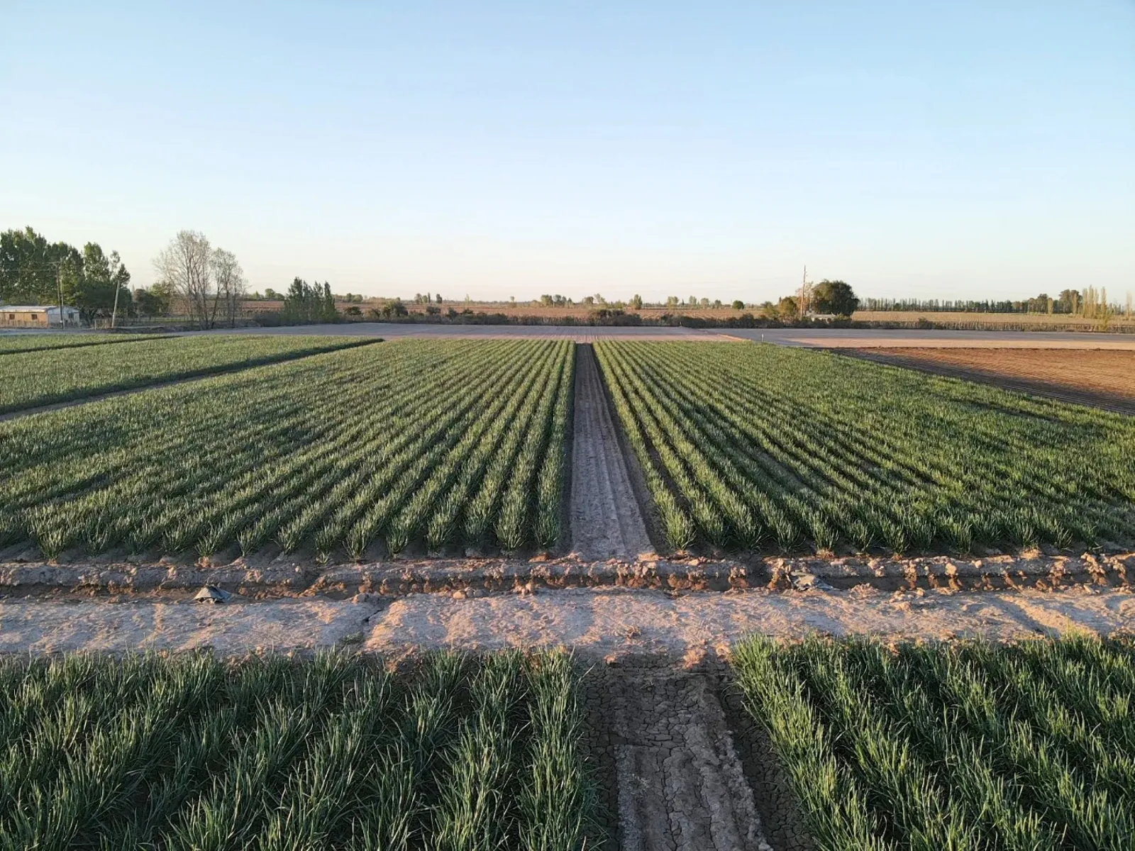Tierras rurales