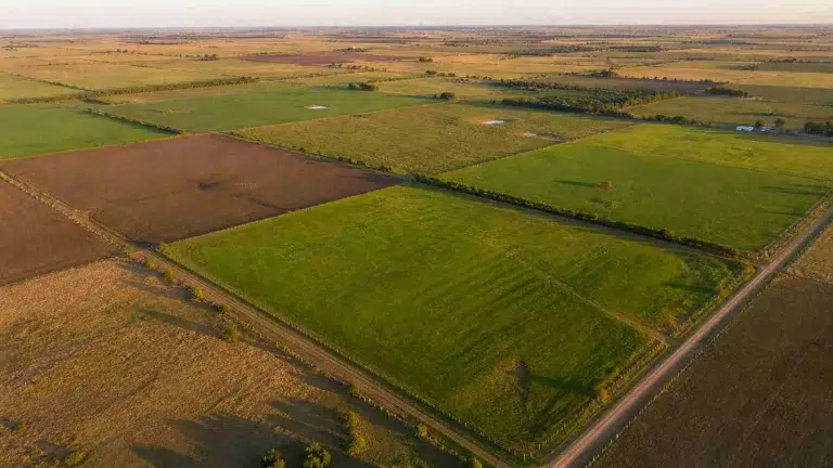 Ley de Tierras Rurales en Argentina: el gobierno busca flexibilizar límites y reabre el debate sobre soberanía territorial