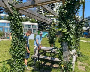 Netherlands accelerates its climate adaptation in the face of increasingly intense and frequent heatwaves. Photo: Infobae.