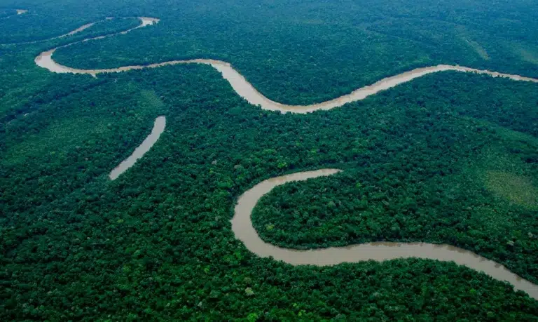 Perú se suma a alianza internacional para proteger la Amazonía y frenar la deforestación hacia 2030