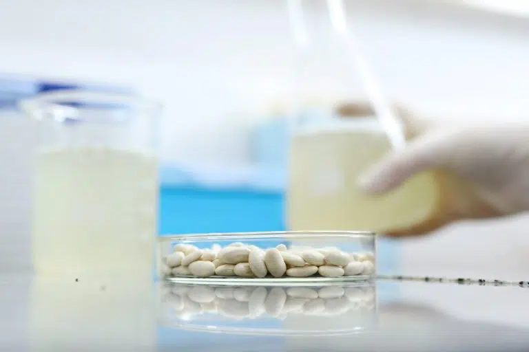 CONICET impulsa el uso del aquafaba: de alternativa vegana al desarrollo de bioplásticos sustentables